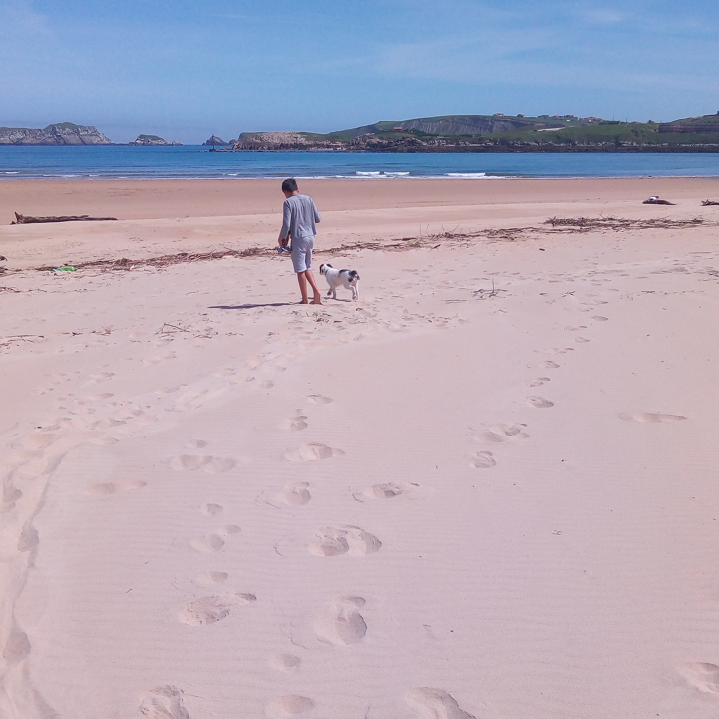 WordPress.com en Español